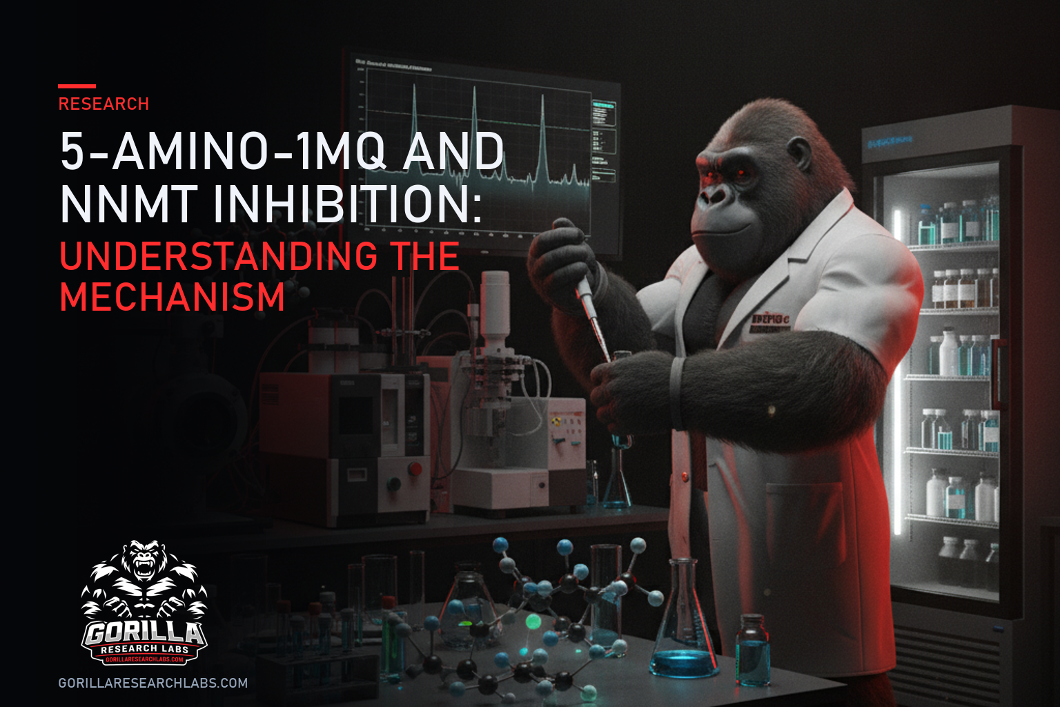 5-Amino-1MQ and NNMT Inhibition: Understanding the Mechanism — research illustration