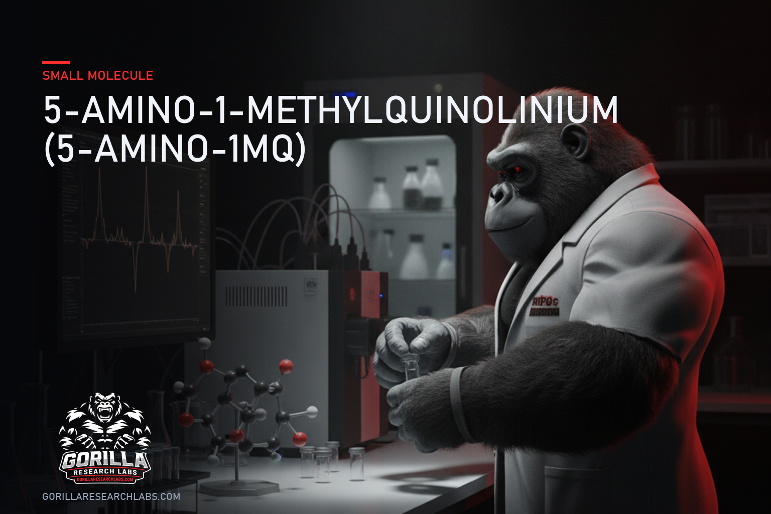 5-Amino-1-Methylquinolinium (5-Amino-1MQ) — research illustration