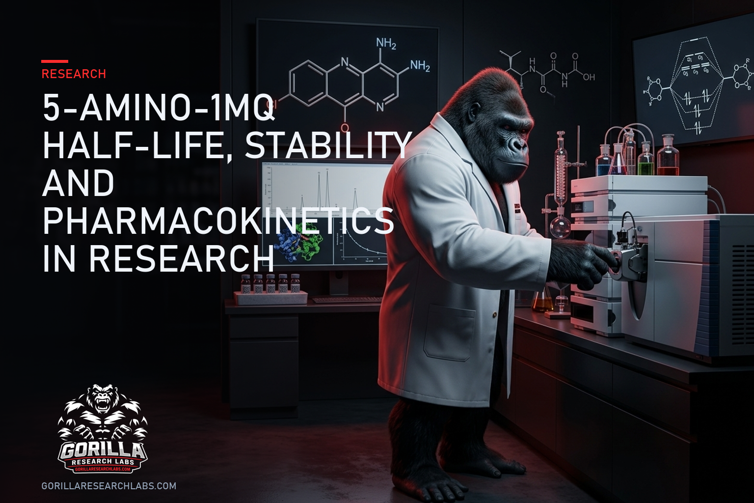 5-Amino-1MQ Half-Life, Stability and Pharmacokinetics in Research — research illustration