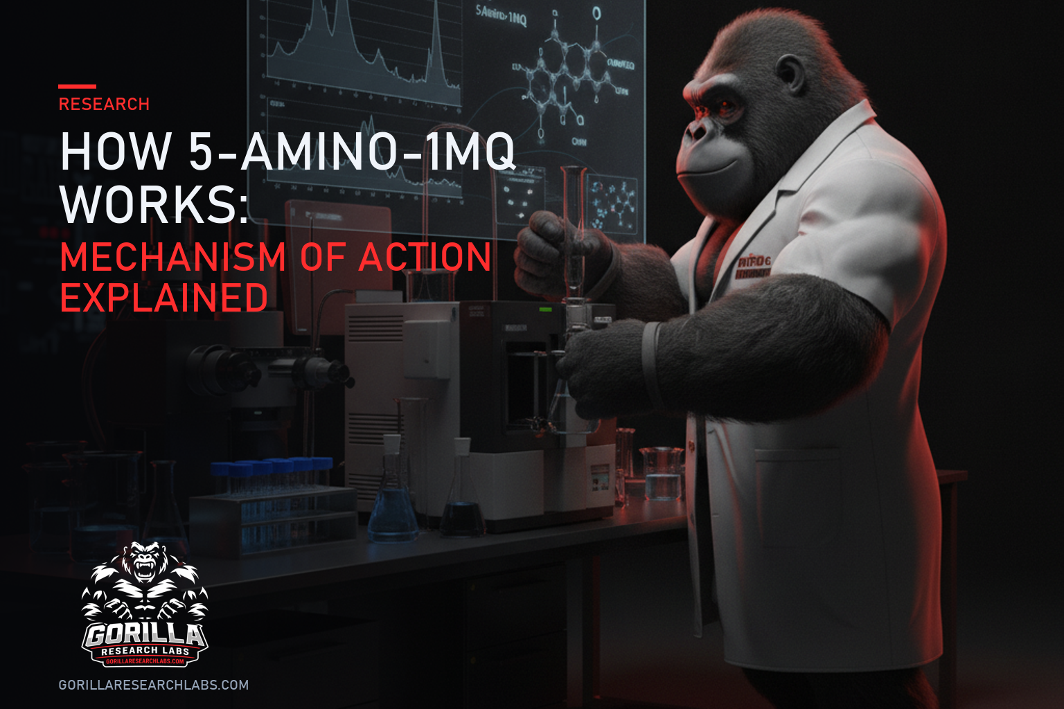 How 5-Amino-1MQ Works: Mechanism of Action Explained — research illustration