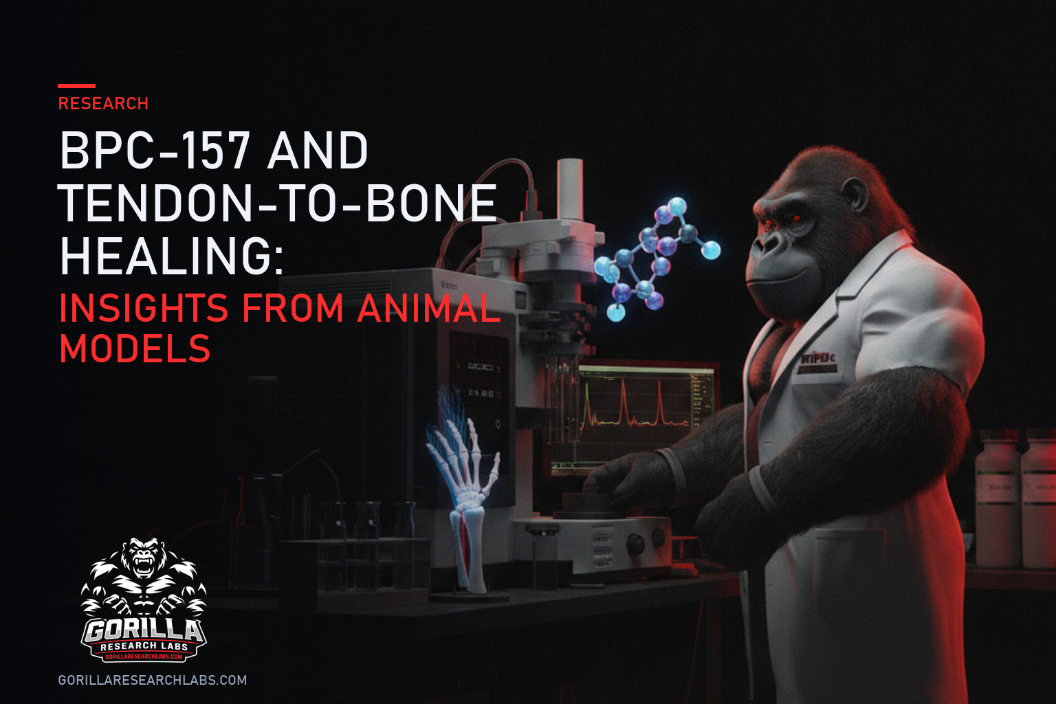 BPC-157 and Tendon-to-Bone Healing: Insights from Animal Models — research illustration