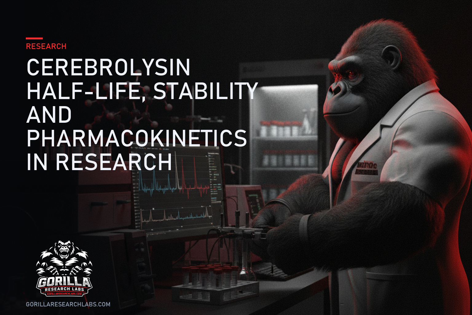 Cerebrolysin Half-Life, Stability and Pharmacokinetics in Research — research illustration