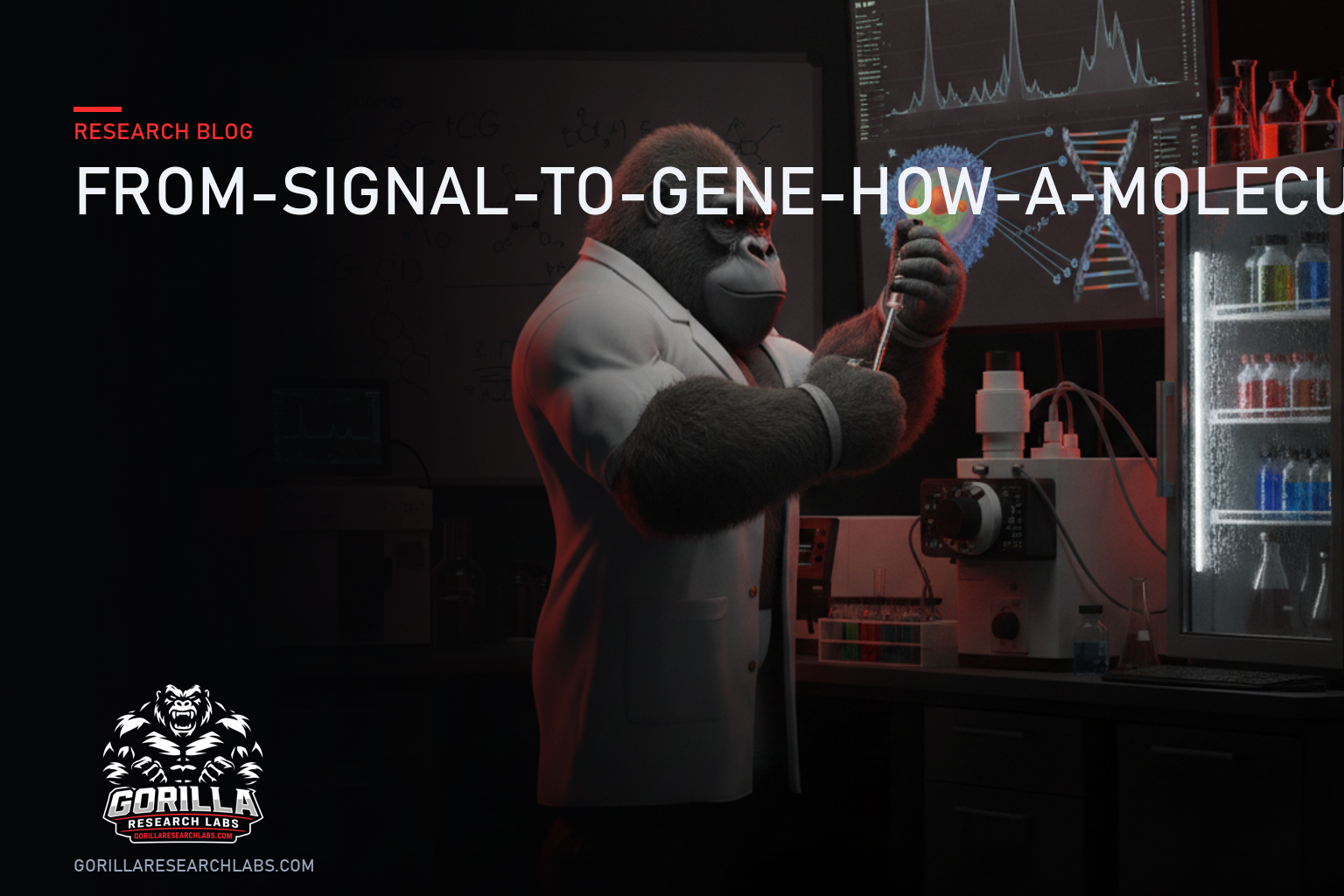 From Signal to Gene: How a Molecule Outside the Cell Ends Up Rewriting the Playbook — research illustration