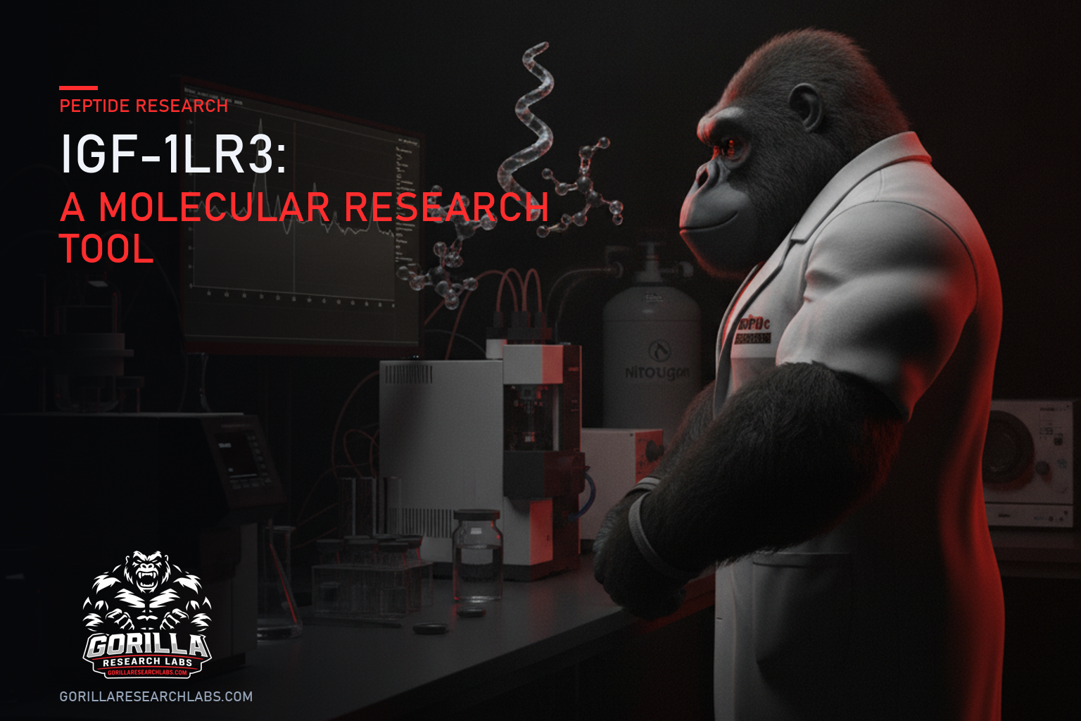 IGF-1LR3: A Molecular Research Tool — research illustration