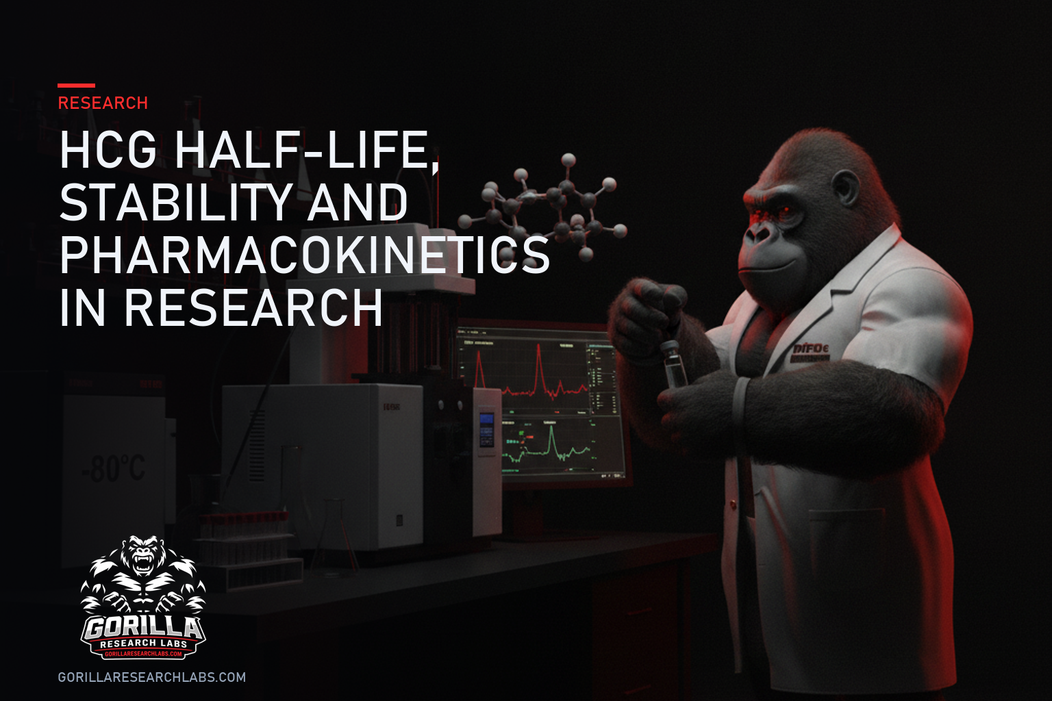 HCG Half-Life, Stability and Pharmacokinetics in Research — research illustration