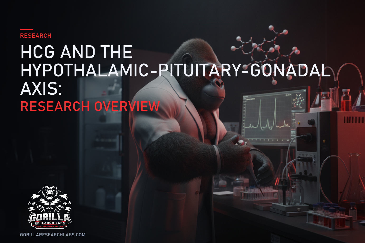 HCG and the Hypothalamic-Pituitary-Gonadal Axis: Research Overview — research illustration