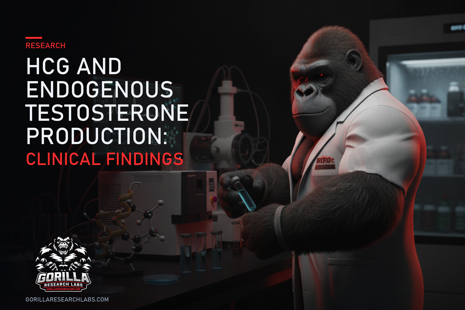HCG and Endogenous Testosterone Production: Clinical Findings — research illustration