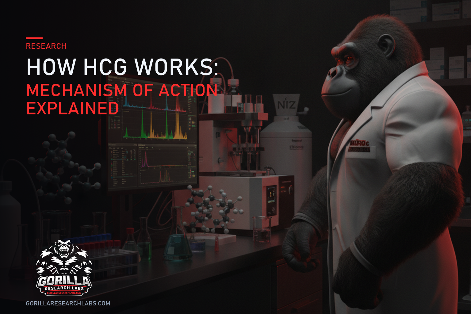 How HCG Works: Mechanism of Action Explained — research illustration