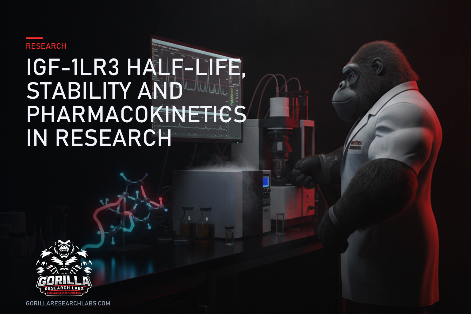 IGF-1LR3 Half-Life, Stability and Pharmacokinetics in Research — research illustration