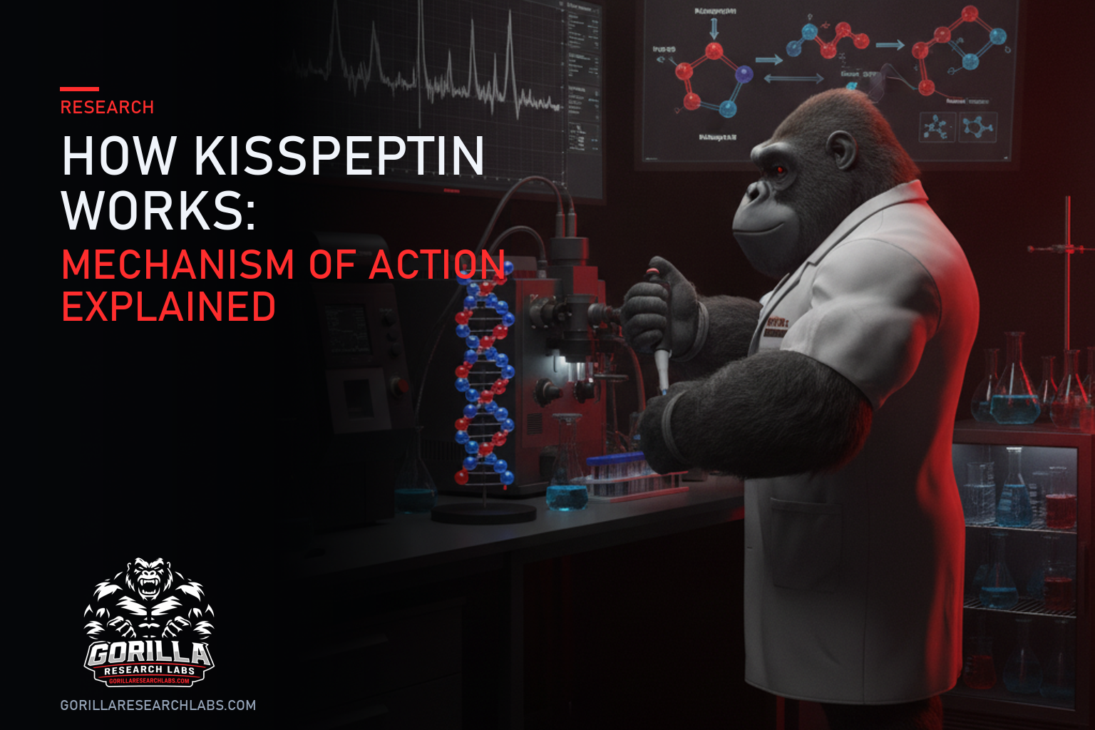 How Kisspeptin Works: Mechanism of Action Explained — research illustration