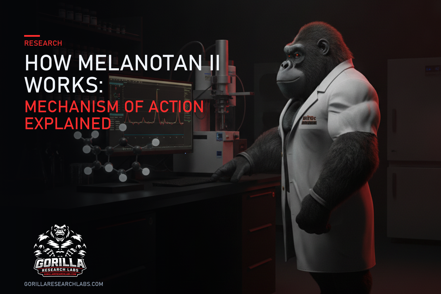 How Melanotan II Works: Mechanism of Action Explained — research illustration