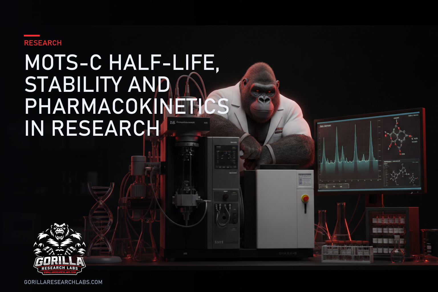 MOTS-c Half-Life, Stability and Pharmacokinetics in Research — research illustration