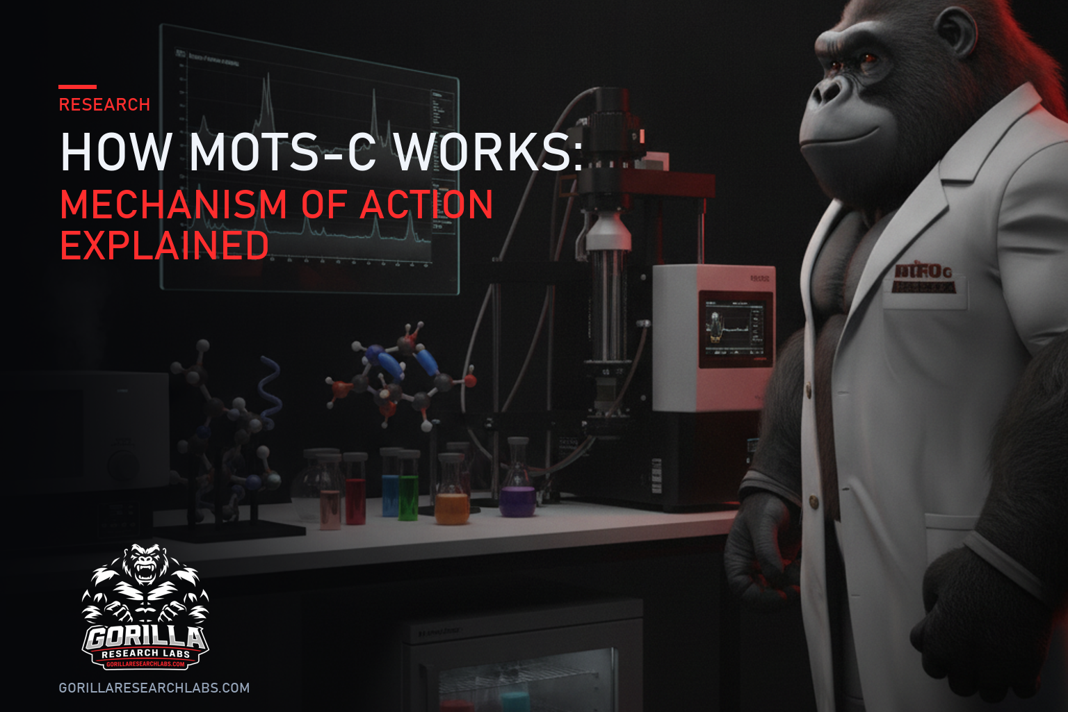 How MOTS-c Works: Mechanism of Action Explained — research illustration