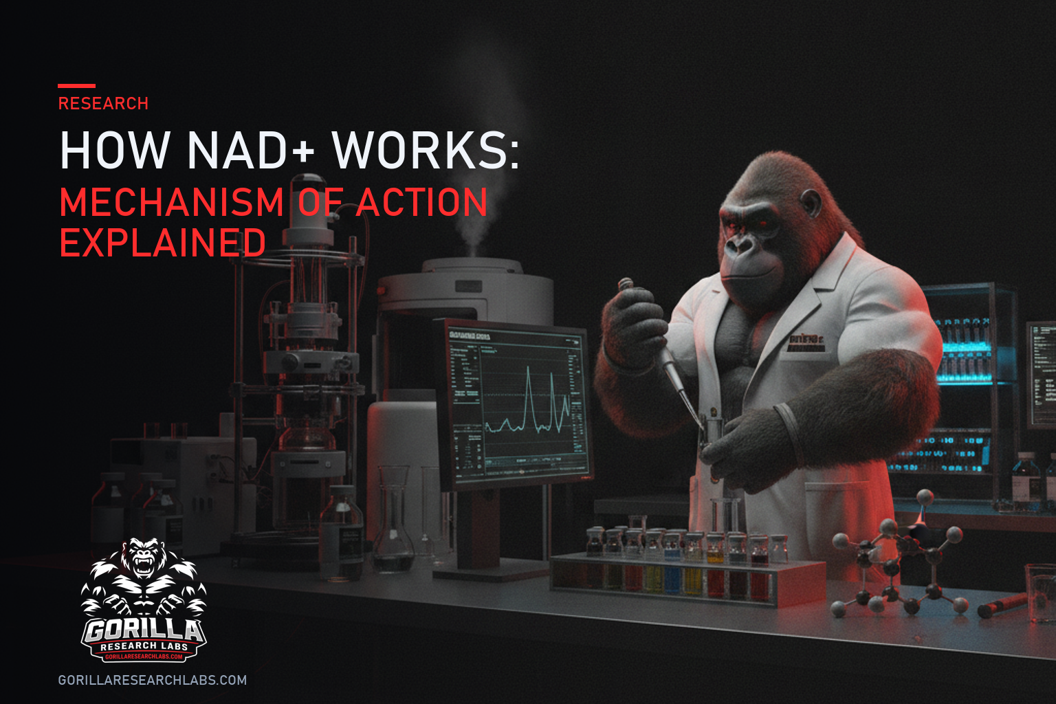 How NAD+ Works: Mechanism of Action Explained — research illustration