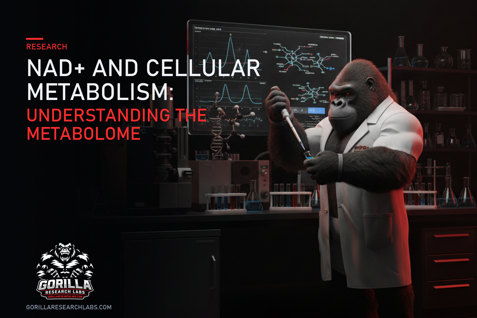 NAD+ and Cellular Metabolism: Understanding the Metabolome — research illustration