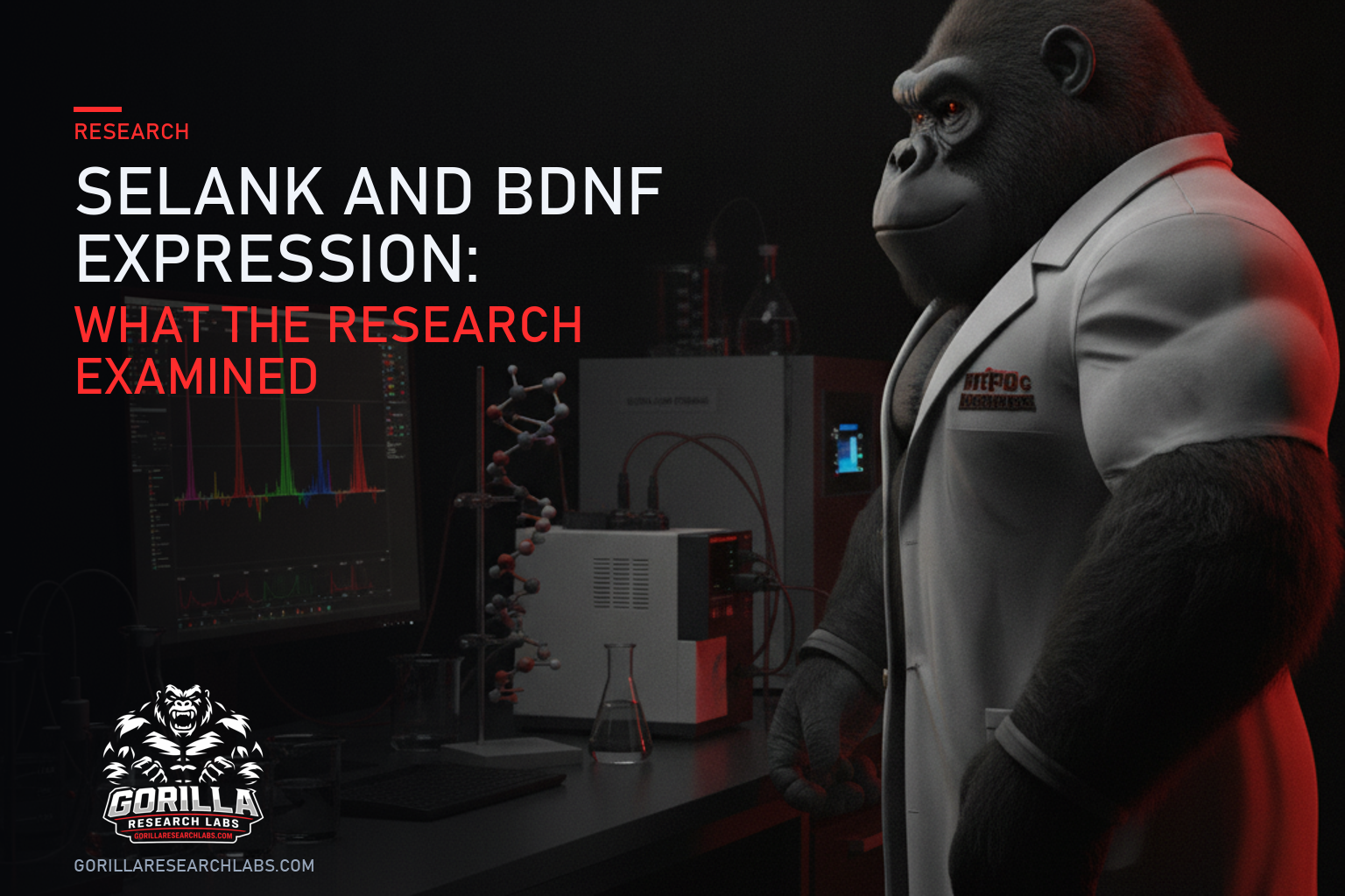 Selank and BDNF Expression: What the Research Examined — research illustration