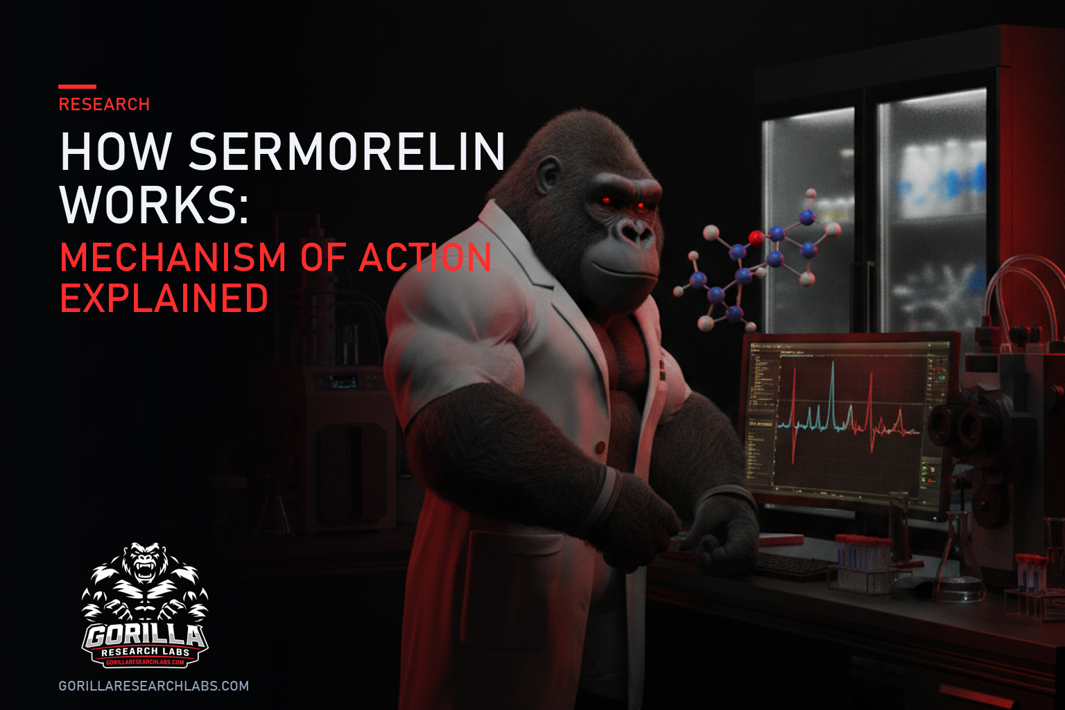 How Sermorelin Works: Mechanism of Action Explained — research illustration