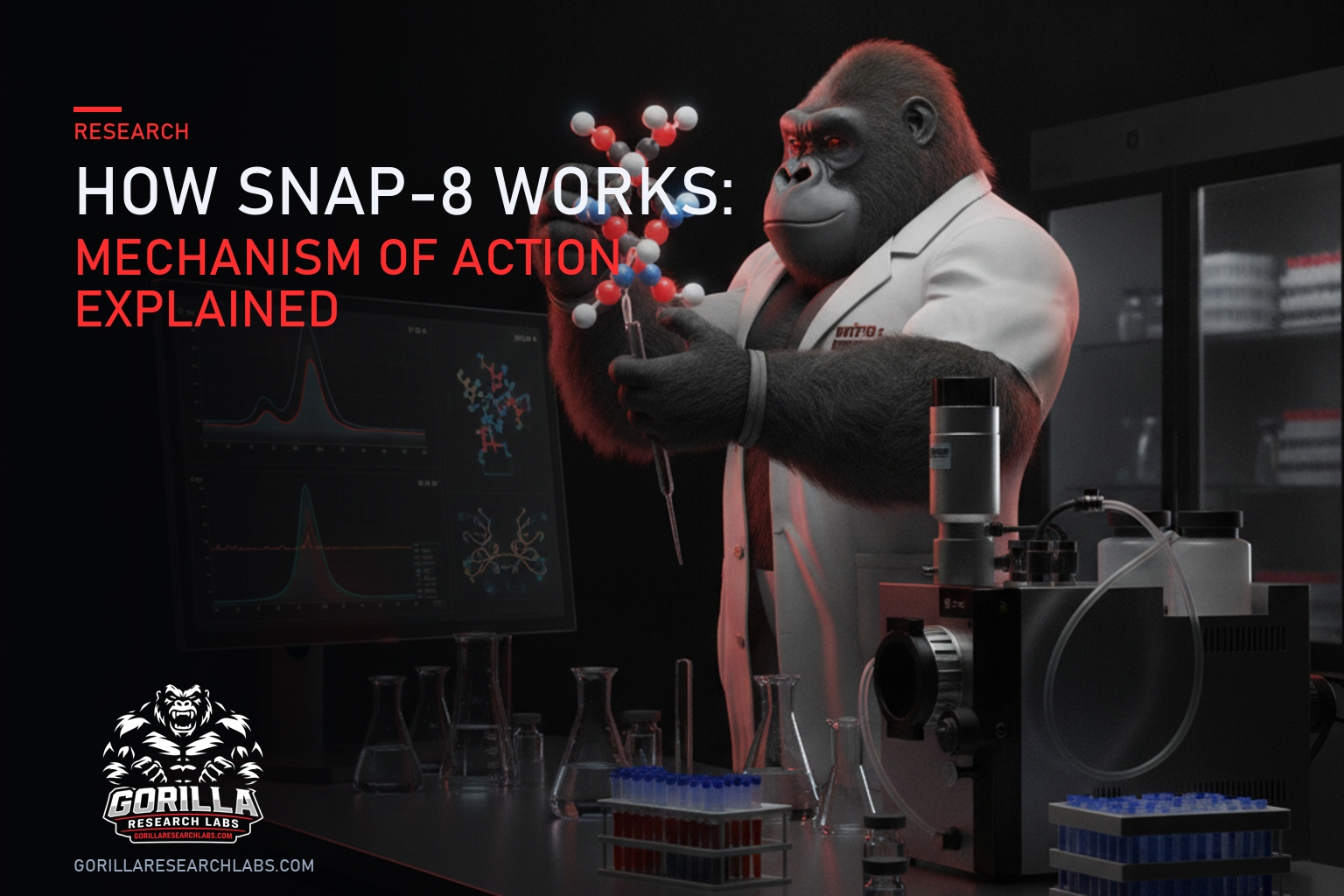 How SNAP-8 Works: Mechanism of Action Explained — research illustration