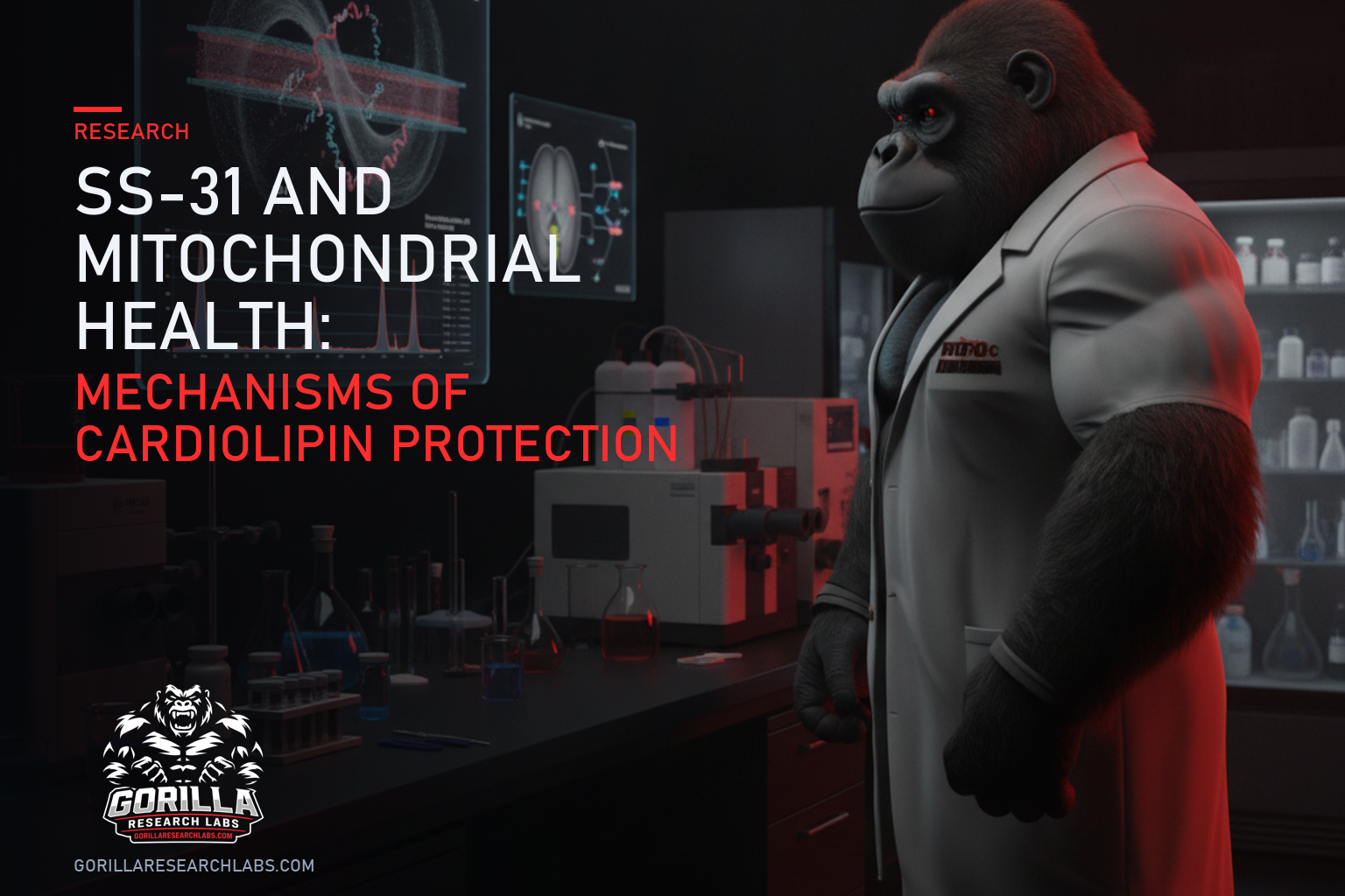 SS-31 and Mitochondrial Health: Mechanisms of Cardiolipin Protection — research illustration