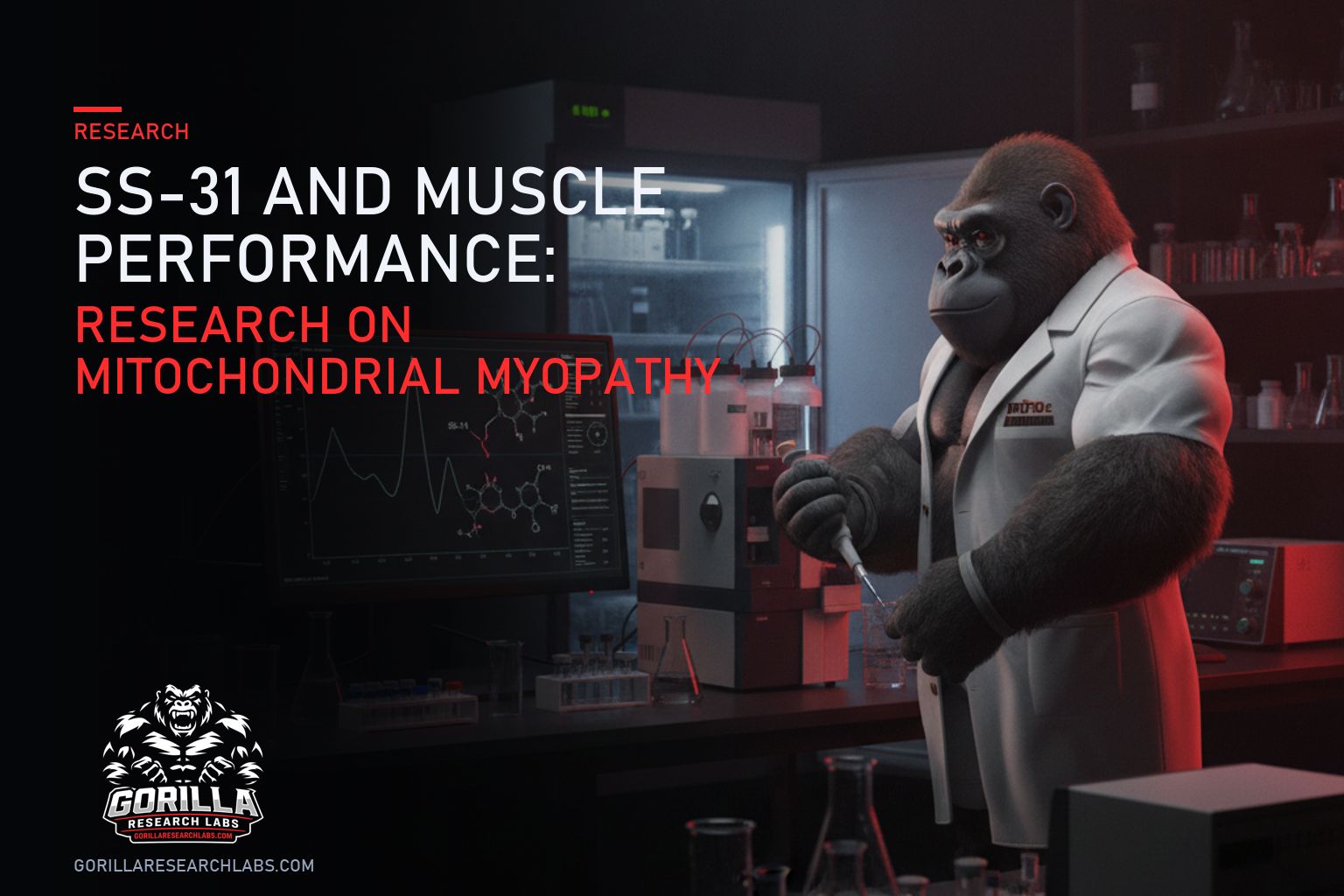 SS-31 and Muscle Performance: Research on Mitochondrial Myopathy — research illustration