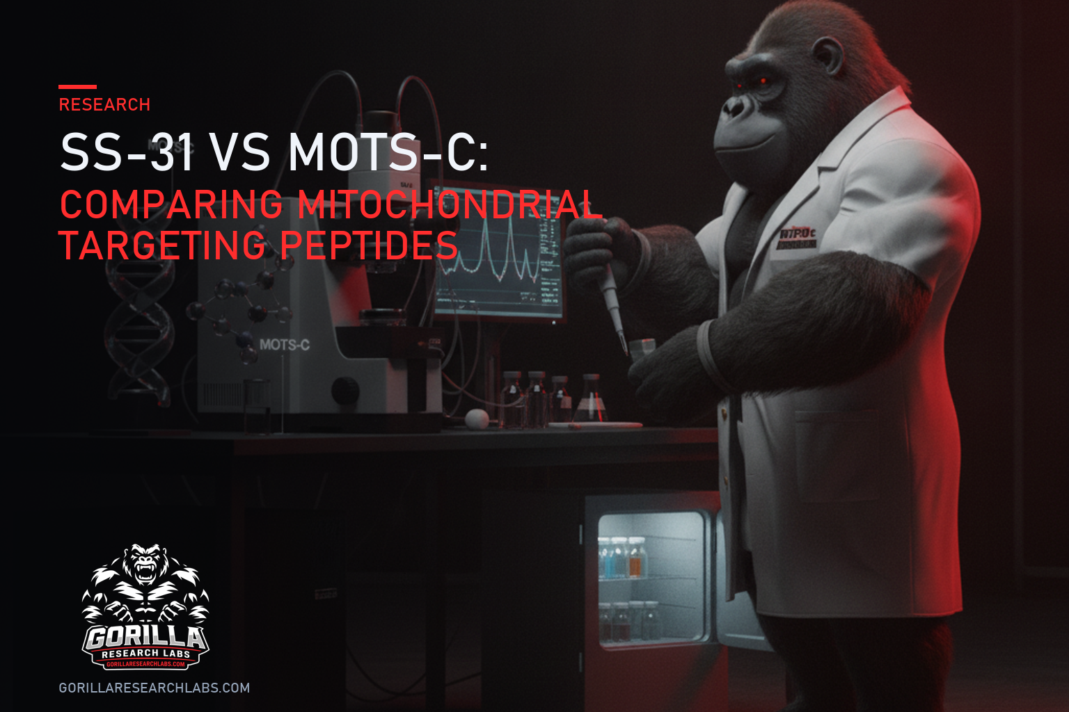 SS-31 vs MOTS-C: Comparing Mitochondrial Targeting Peptides — research illustration