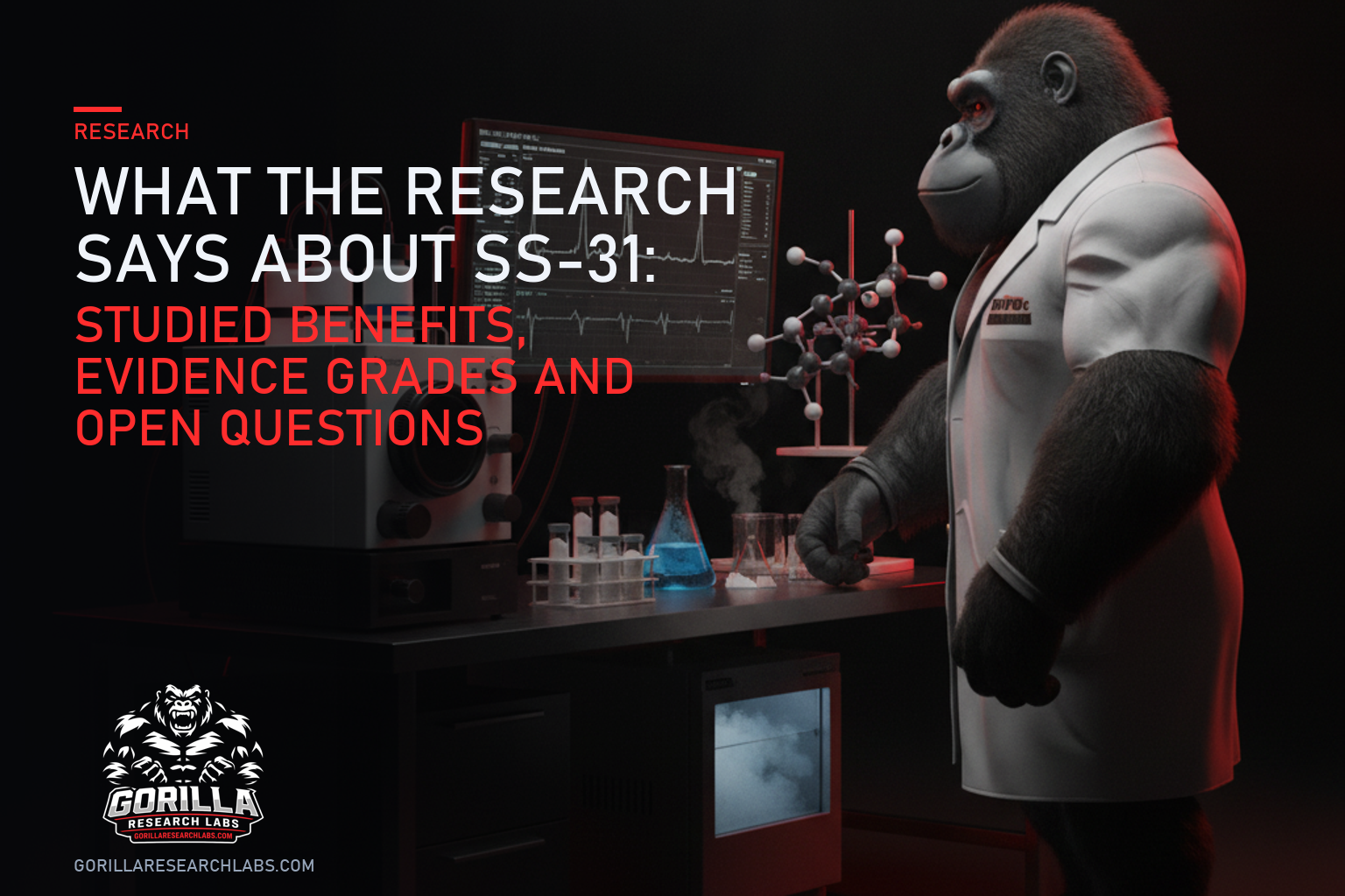 What the Research Says About SS-31: Studied Benefits, Evidence Grades and Open Questions — research illustration
